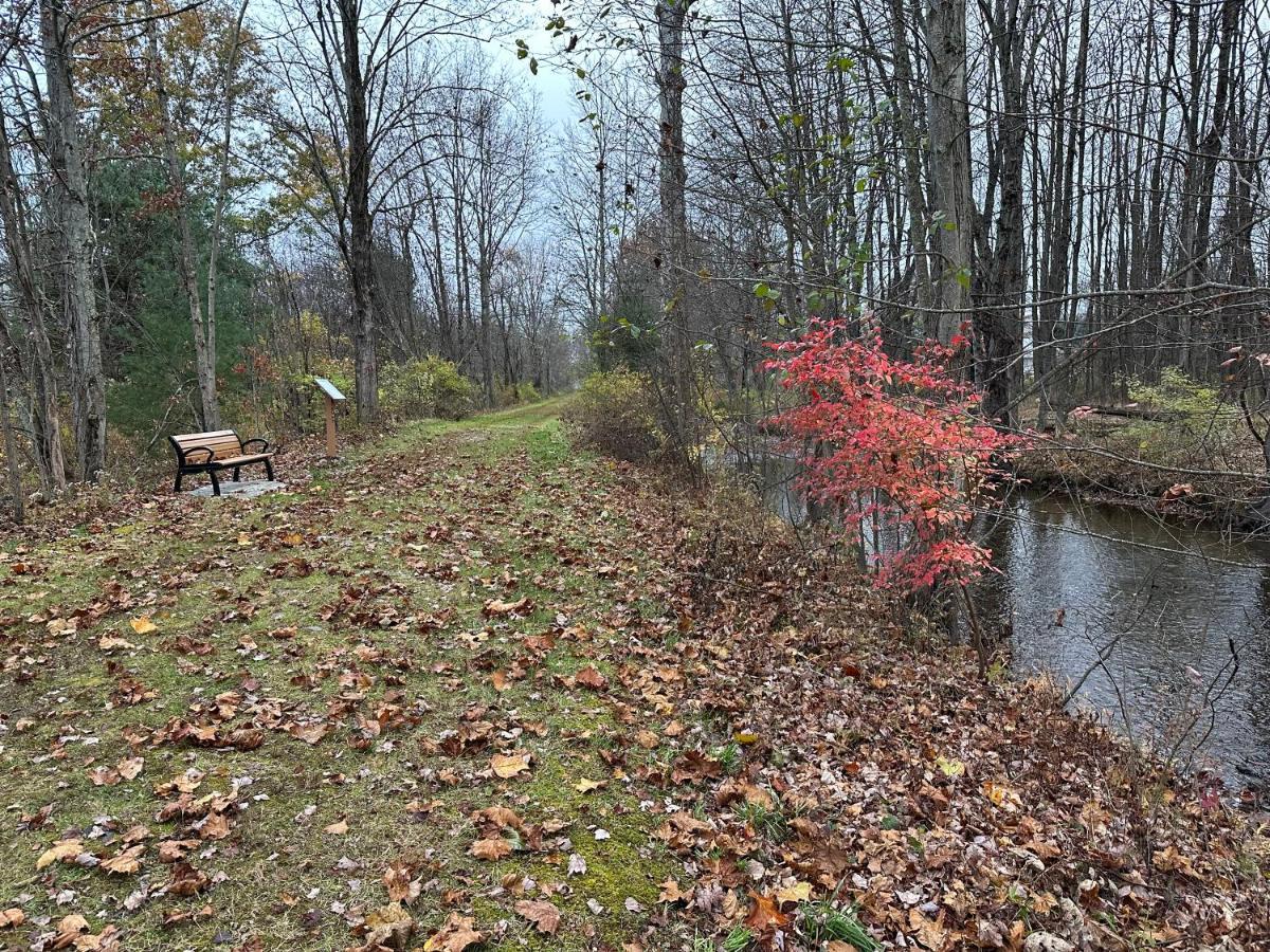 Escape To A Streamside Cabin In The Lower Catskills Wurtsboro Exterior photo